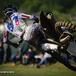 MX 2020. GP Lombardia, Seewer vince ma Gajser passa in testa alla MXGP