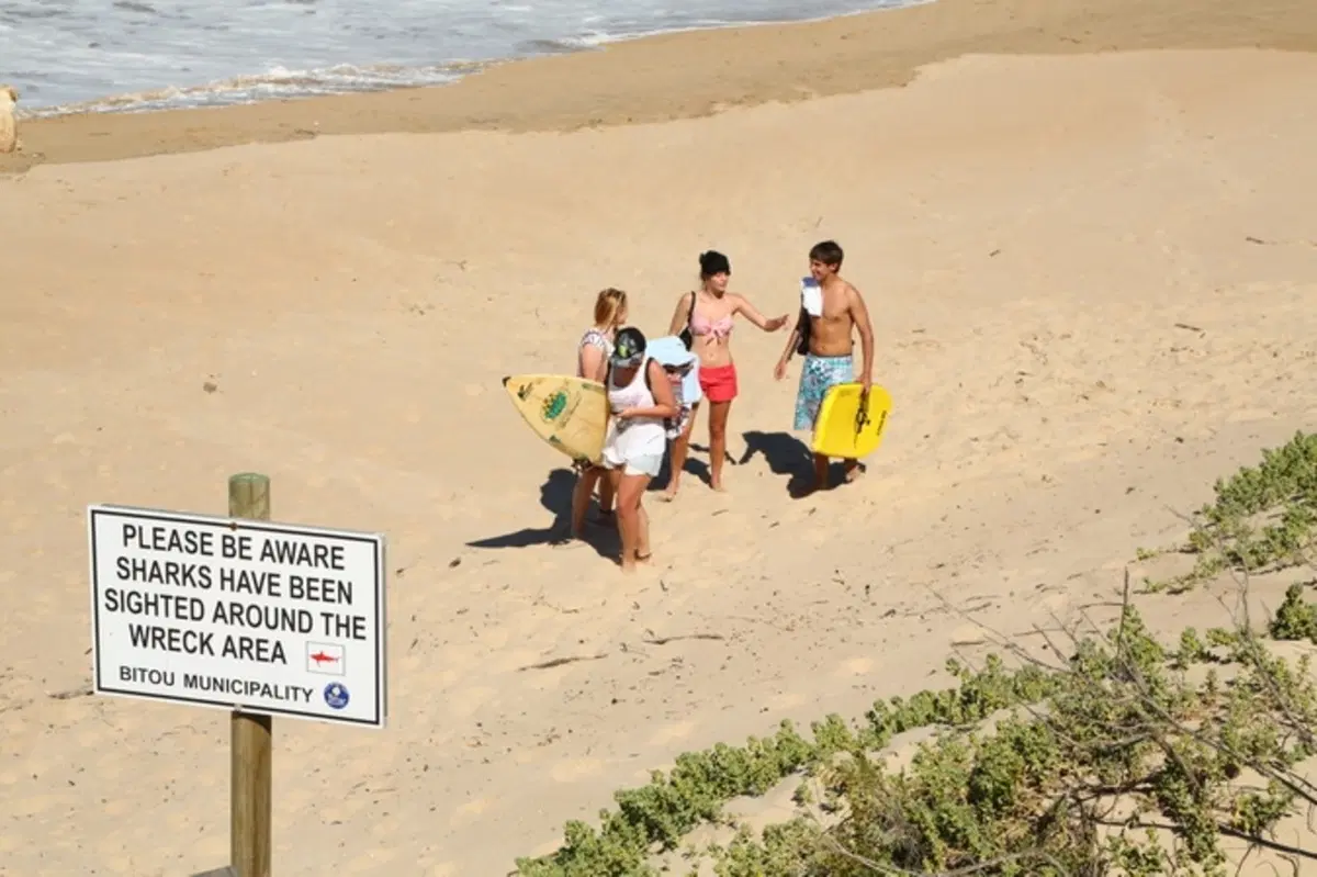 Planet Explorer 2 South Africa. The Garden Route (6)