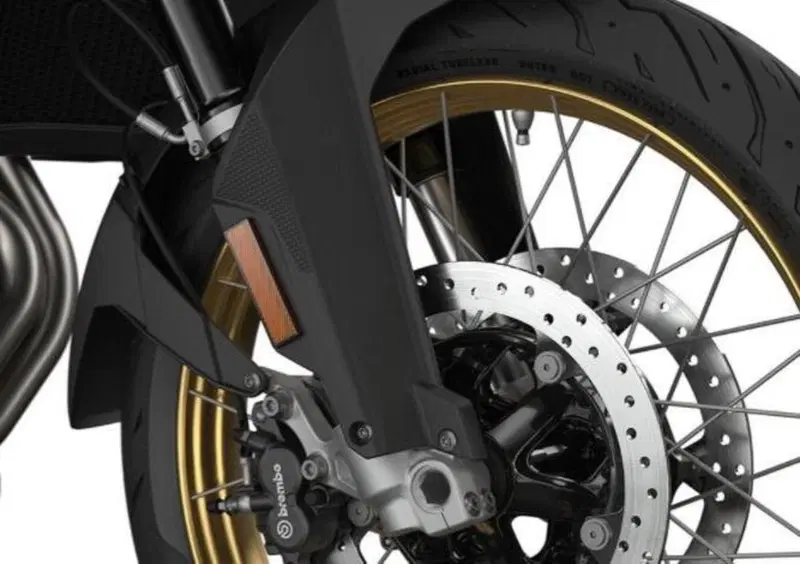 Bmw F 850 GS F 850 GS - Edition 40 Years GS (2021) (3)