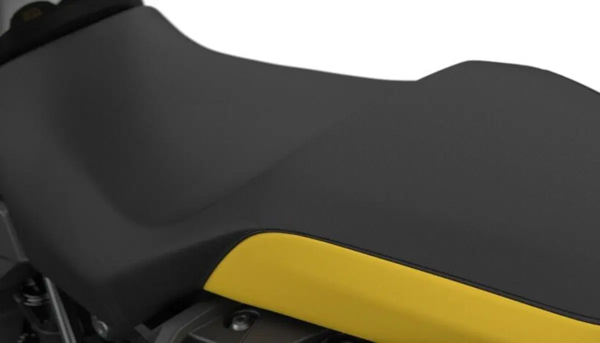 Bmw F 850 GS F 850 GS - Edition 40 Years GS (2021) (5)