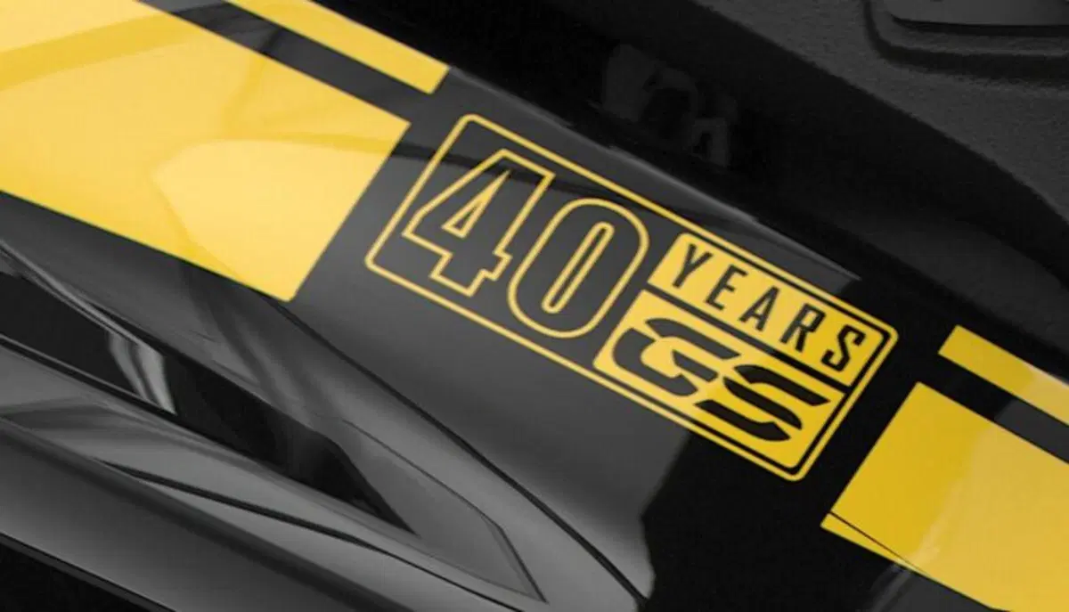 Bmw F 850 GS F 850 GS Adventure - Edition 40 Years GS (2021) (8)