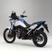 Honda Africa Twin 2021, arriva il tricolore anche sulla versione base [GALLERY]