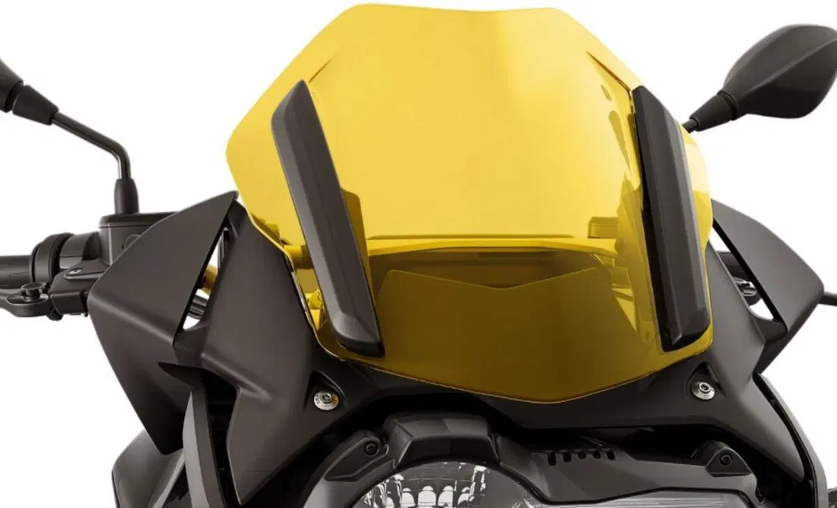 Bmw R 1250 GS R 1250 GS - Edition 40 Years GS (2021) (9)