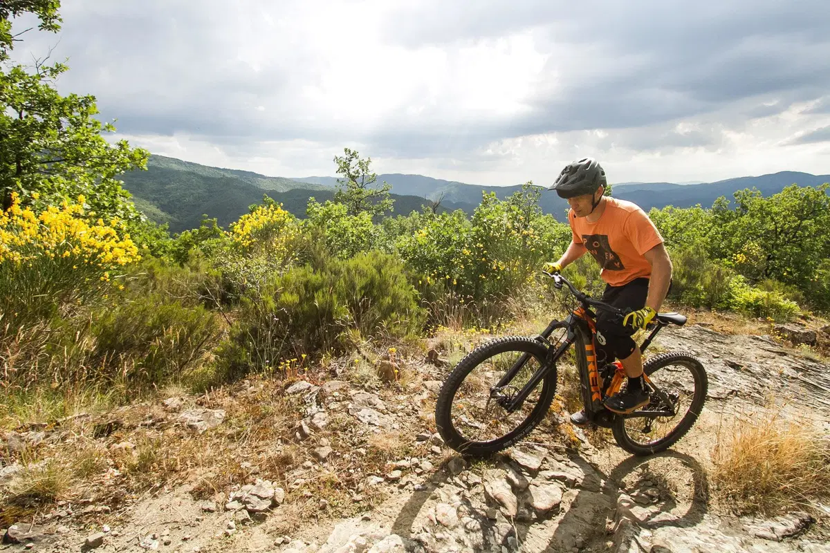 TEST - Trek Rail 9 (14)