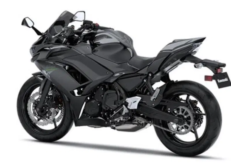 Kawasaki Ninja 650 Ninja 650 Performance (2021 - 24) (14)