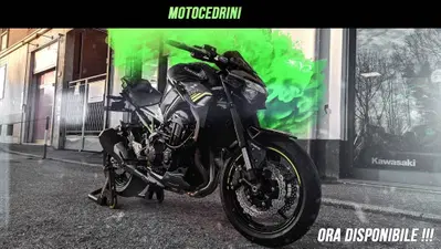 Motocedrini