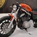 Le Strane di Moto.it: Harley-Davidson Sportster 1200 Special