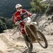 Legend Rally 2012. Il grande fuoristrada nel sole della Sardegna