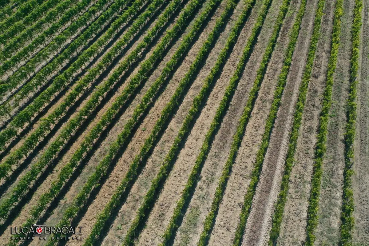Planet Explorer 14: Italia - Toscana (9)