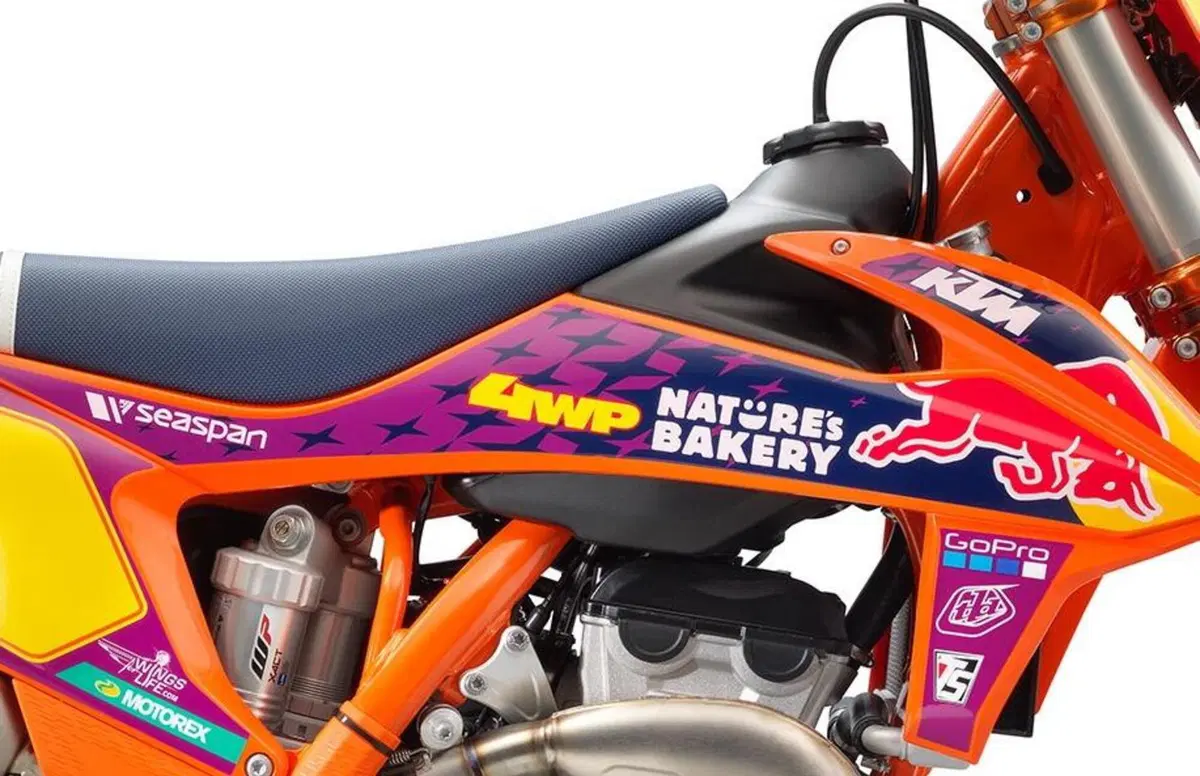 KTM 250 SX-F 250 SX-F Troy Lee Designs (2021) (3)