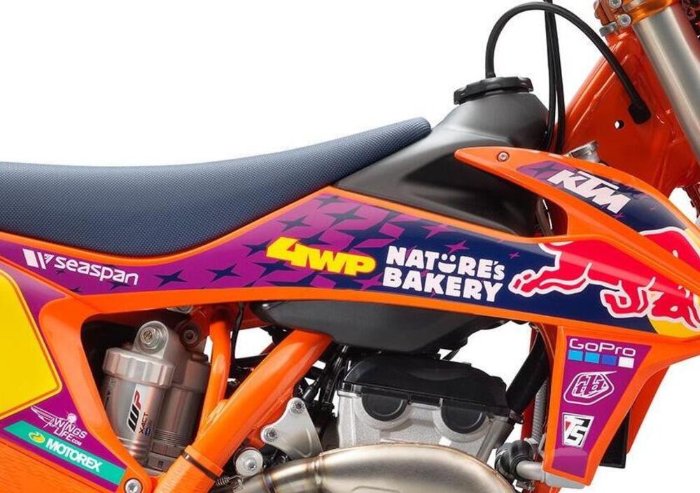 KTM SX 250 F Troy Lee Designs (2021) (3)