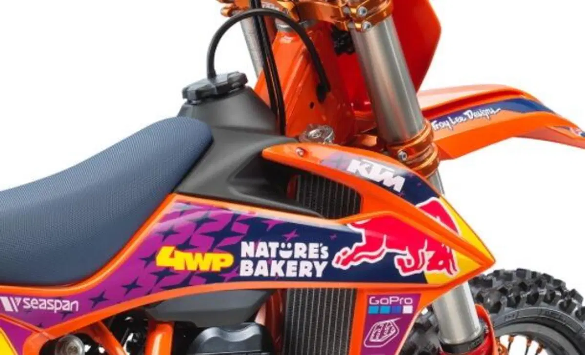 KTM 250 SX-F 250 SX-F Troy Lee Designs (2021) (4)