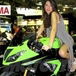 Kawasaki: nuove ZX-6R e Z800 ad EICMA 2012