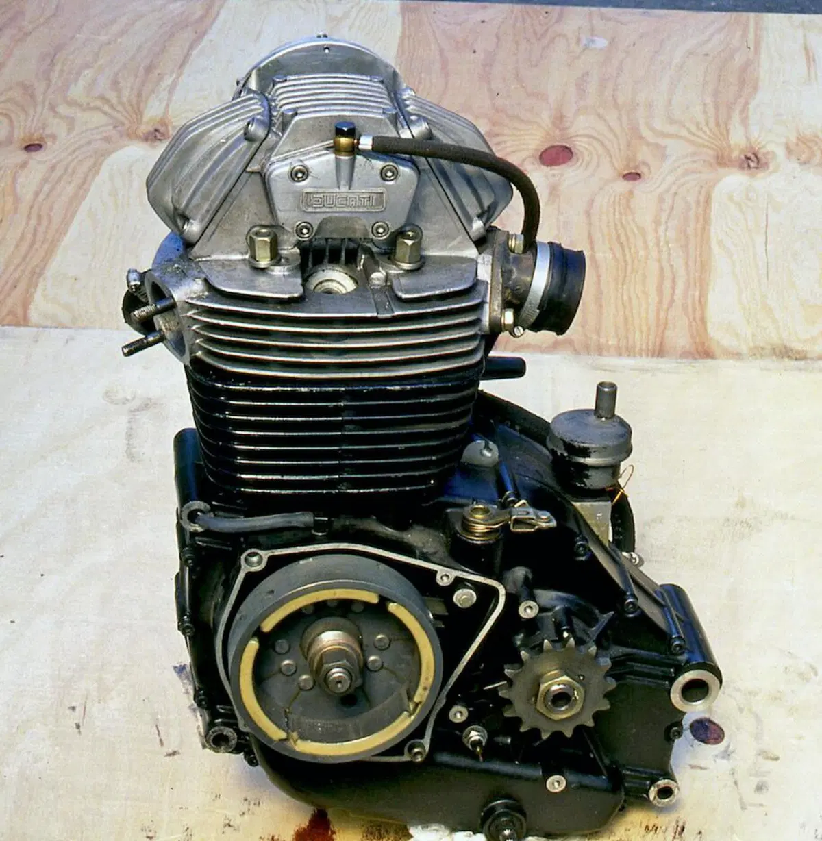 Coraggiose metamorfosi motoristiche 	 (10)