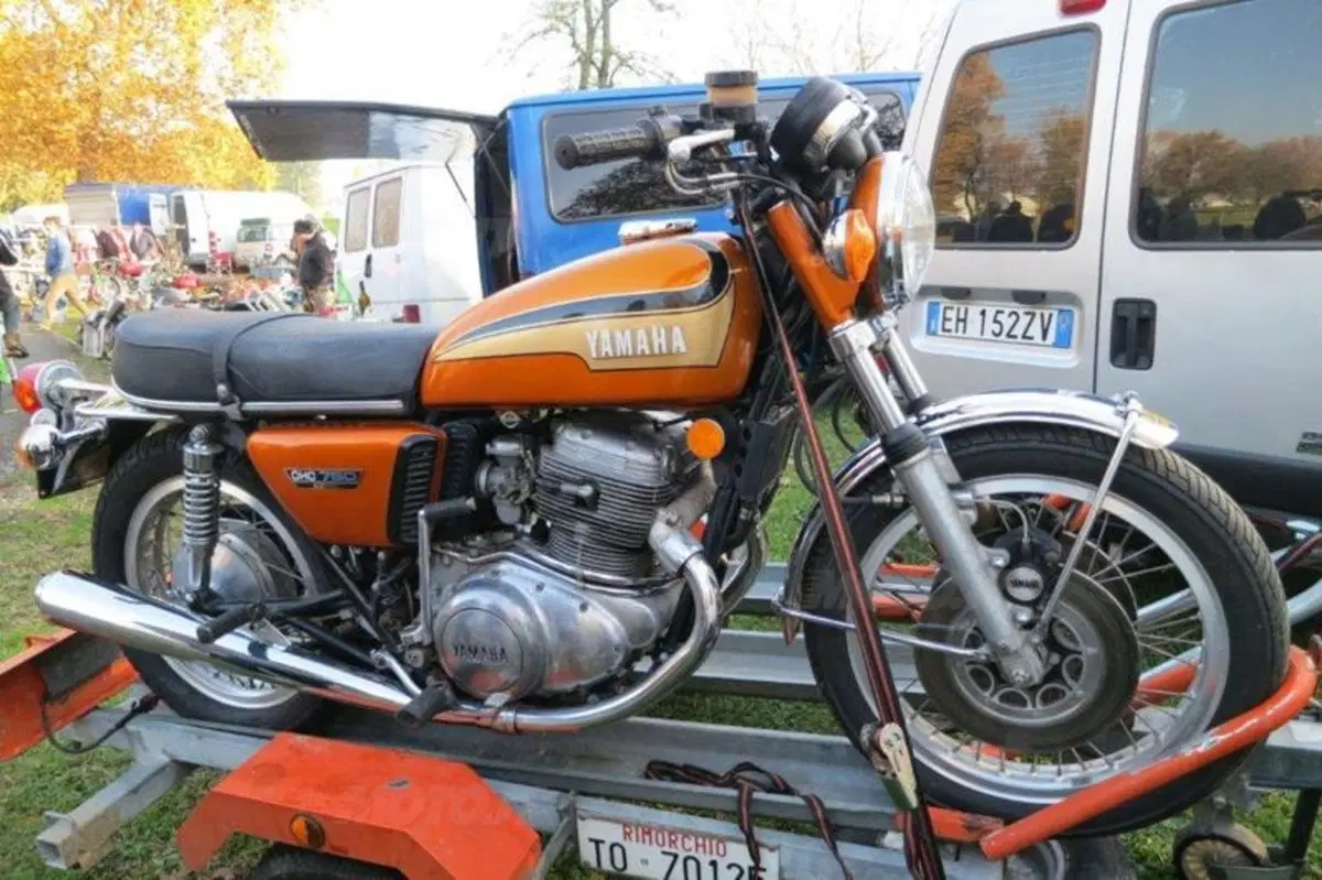 Le immagini più belle della mostra scambio di Novegro di novembre 2012 (15)