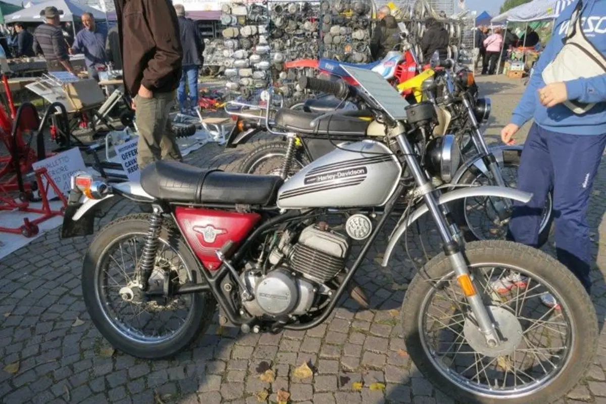 Le immagini più belle della mostra scambio di Novegro di novembre 2012 (104)