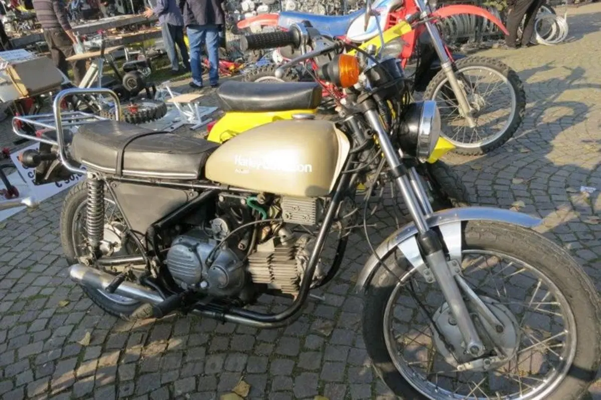 Le immagini più belle della mostra scambio di Novegro di novembre 2012 (105)
