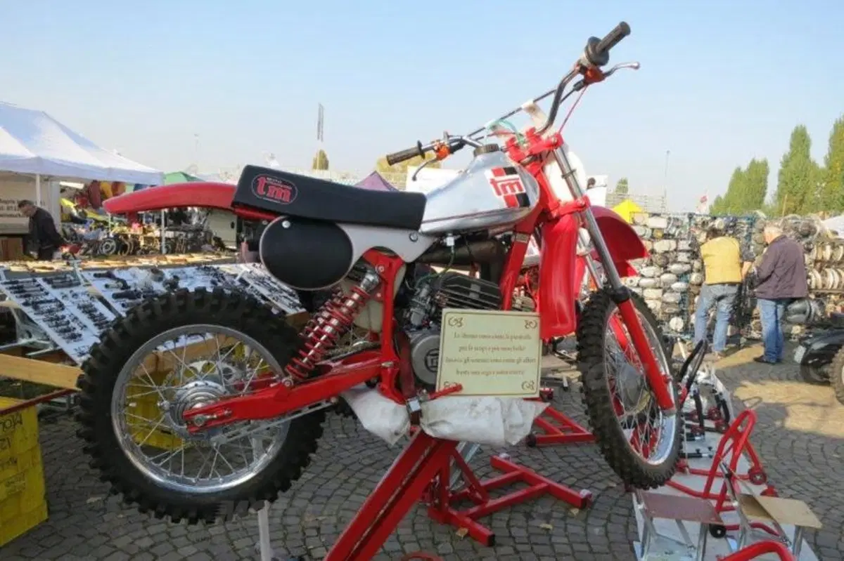 Le immagini più belle della mostra scambio di Novegro di novembre 2012 (106)