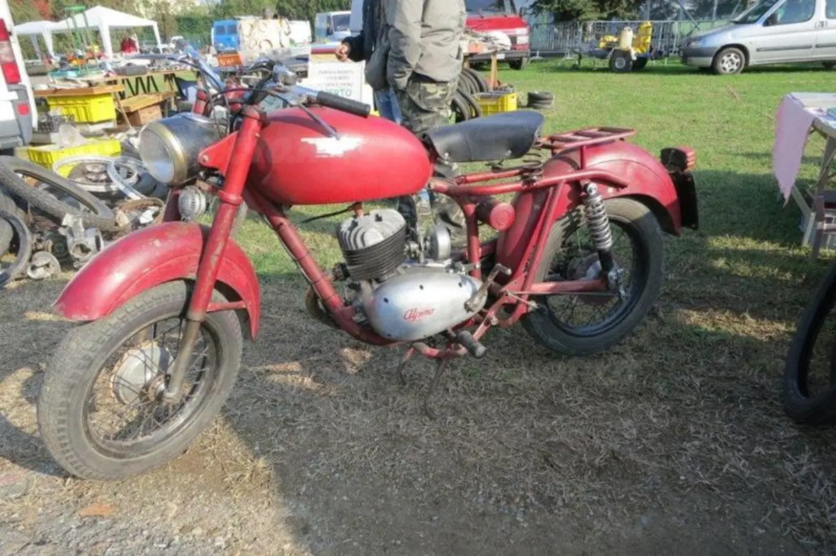 Le immagini più belle della mostra scambio di Novegro di novembre 2012 (109)
