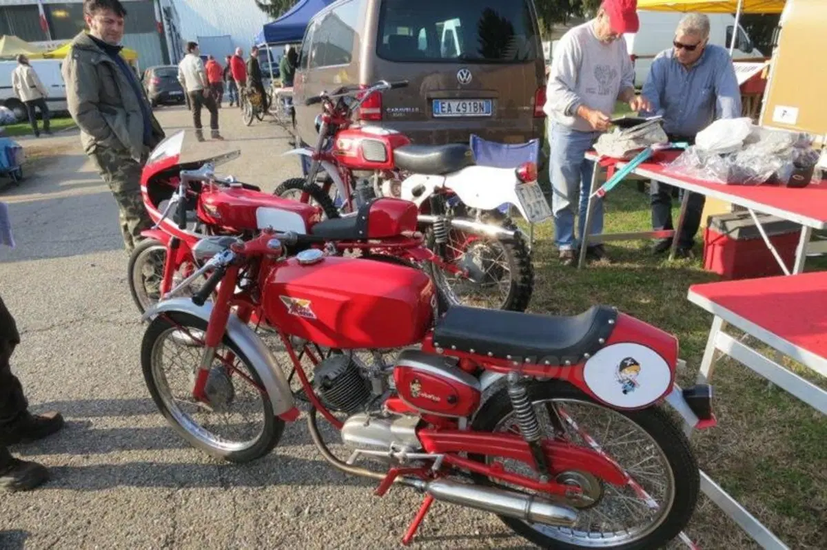 Le immagini più belle della mostra scambio di Novegro di novembre 2012 (111)