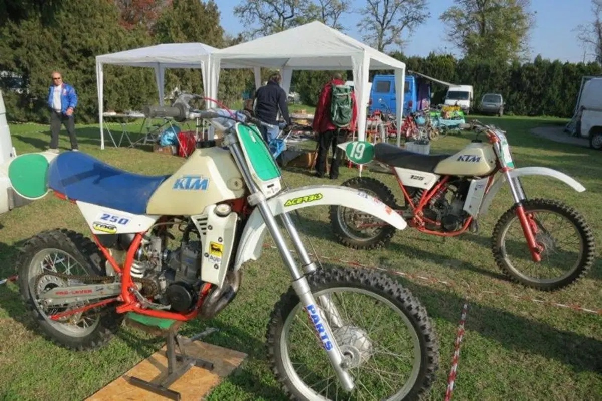 Le immagini più belle della mostra scambio di Novegro di novembre 2012 (114)