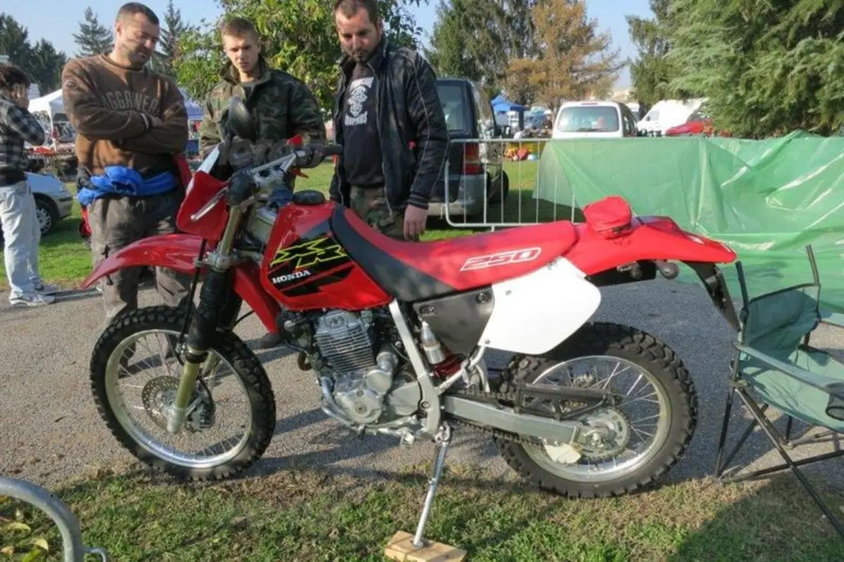 Le immagini più belle della mostra scambio di Novegro di novembre 2012 (122)