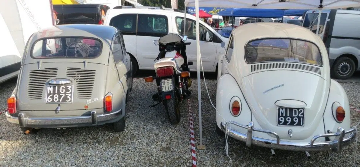 Le immagini più belle della mostra scambio di Novegro di novembre 2012 (135)