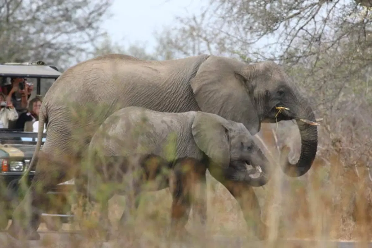 Planet Explorer 2 South Africa. The Best Off (57)