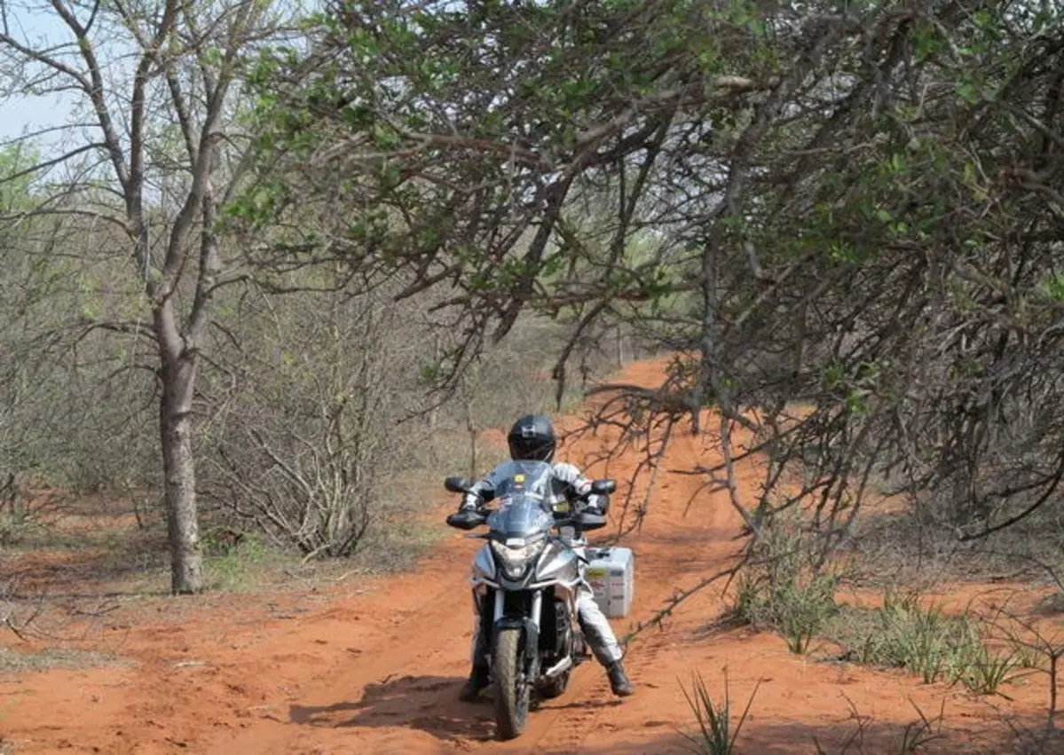 Planet Explorer 2 South Africa. The Best Off (66)