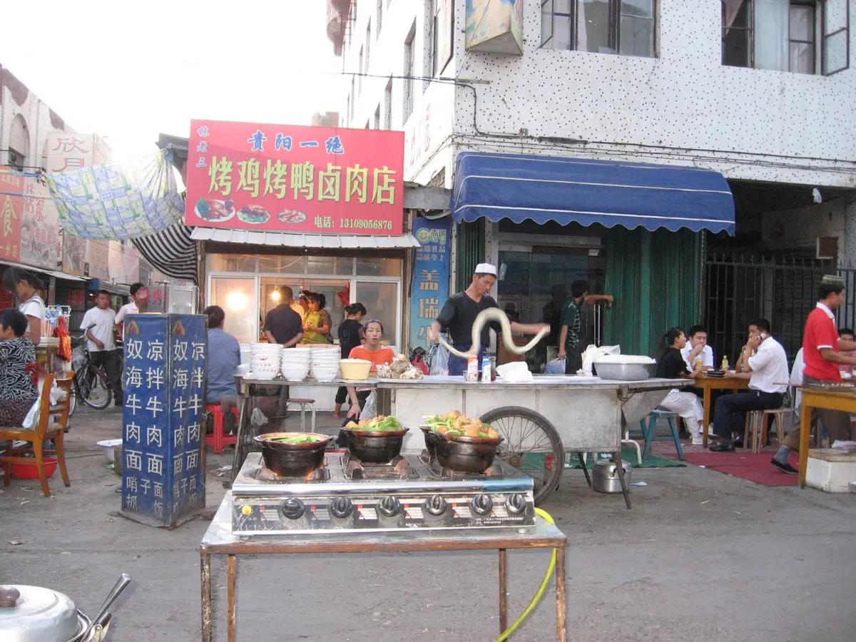 Viaggi in moto. Moto raid in Cina (14)