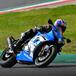 Suzuki GSX-R 1000R Anniversary. Tanti auguri, Gixxer!