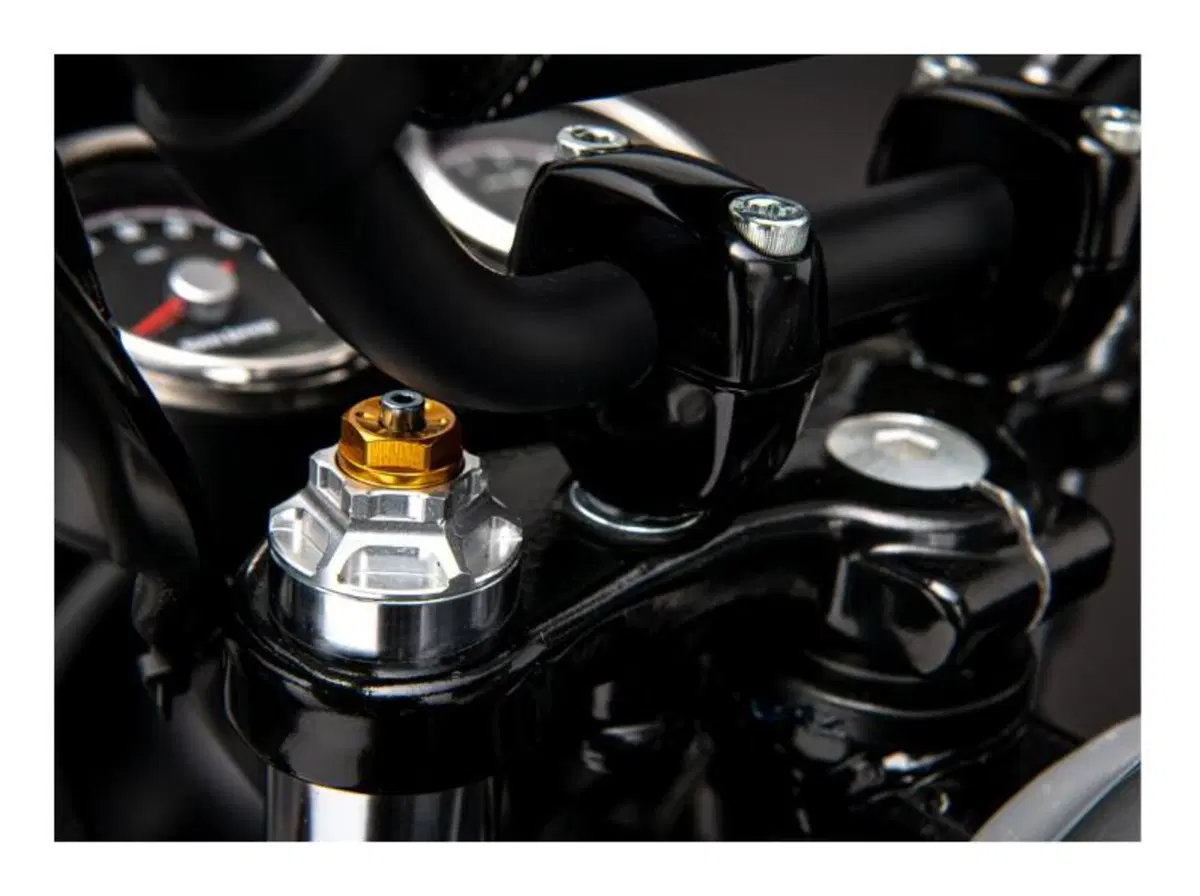 Royal Enfield Interceptor e Continental GT: limited edition da Valentino Motor Company (2)