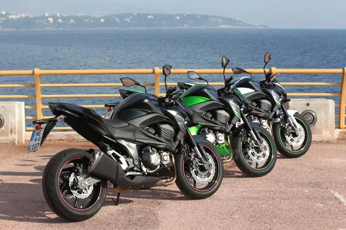 Kawasaki Z800 2013   (39)