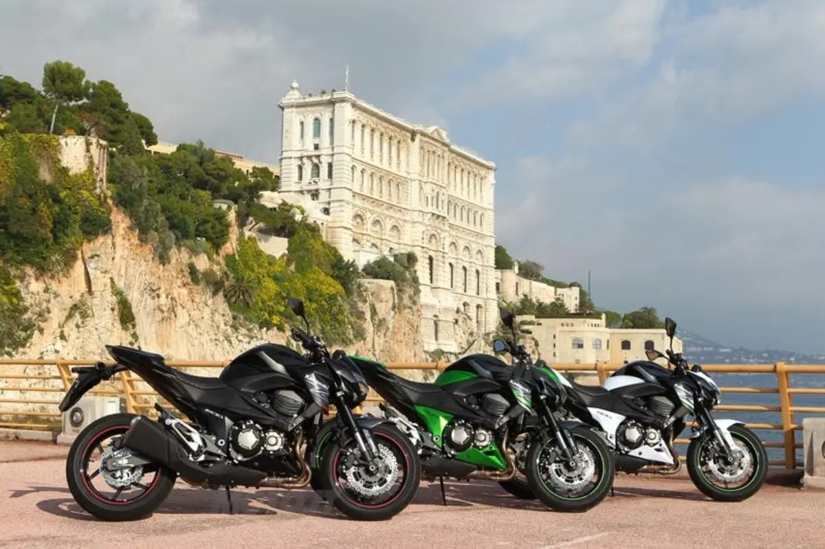 Kawasaki Z800 2013   (40)