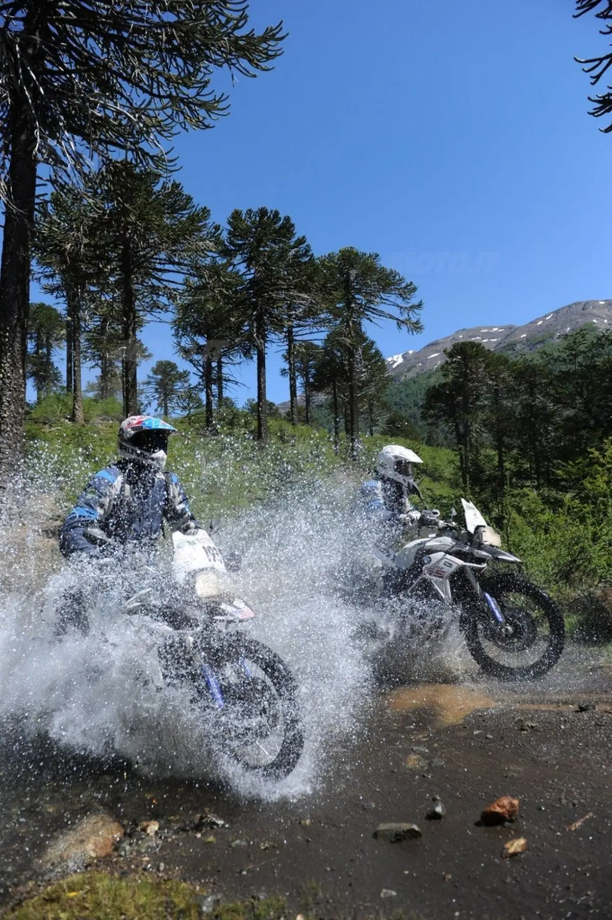 BMW GS Trophy: vittoria finale della Germania (50)