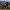 Bmw R 1250 GS Adventure (2021 - 23)
