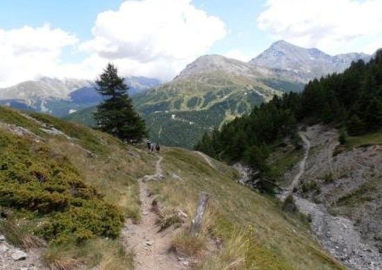 FMI e Piemonte dicono sì alle moto in montagna