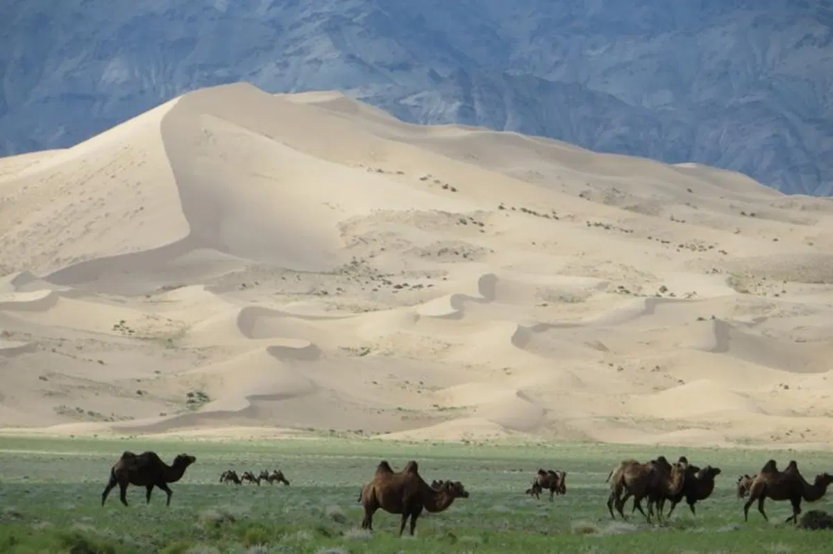 Viaggi in moto. Raid enduro in Mongolia (17)