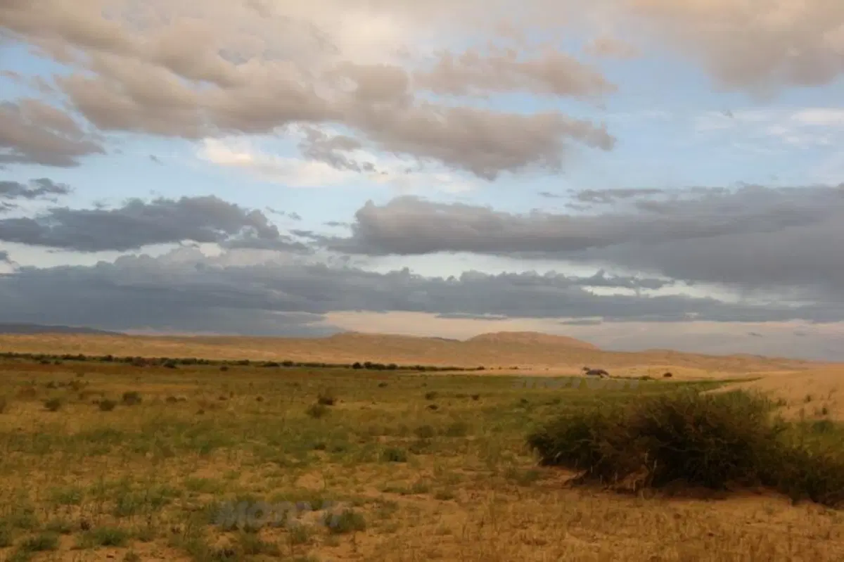 Viaggi in moto. Raid enduro in Mongolia (23)