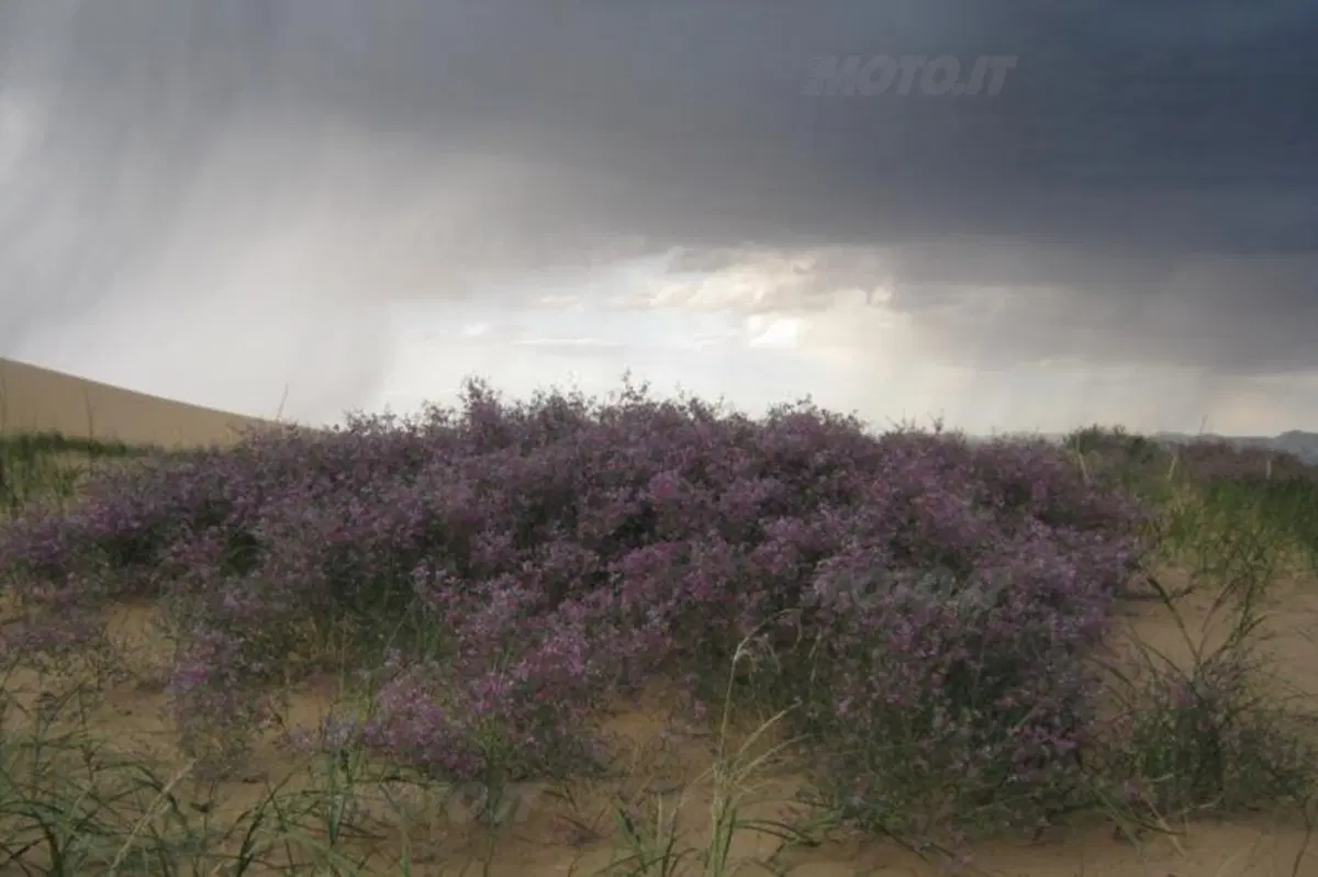 Viaggi in moto. Raid enduro in Mongolia (26)