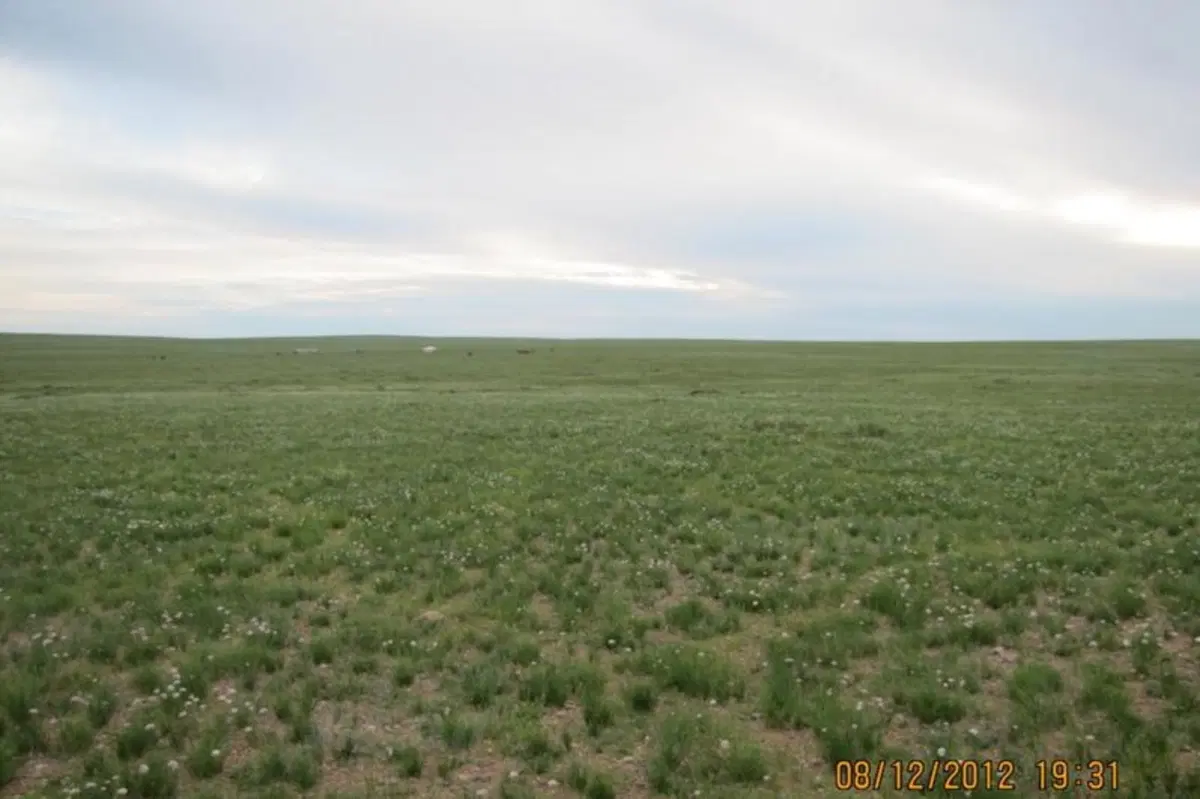 Viaggi in moto. Raid enduro in Mongolia (36)