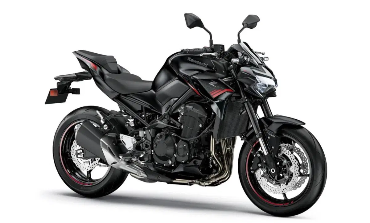 Kawasaki Z 900 Z 900 A2 (2020) (13)
