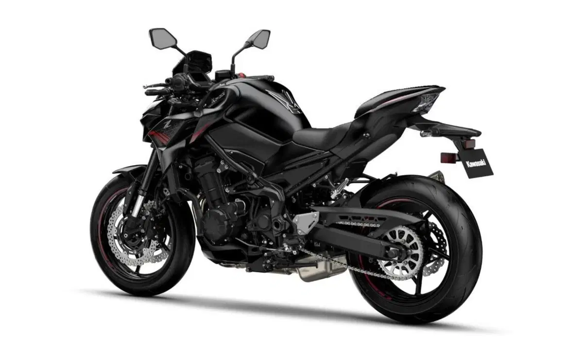 Kawasaki Z 900 Z 900 Performance A2 (2020) (10)