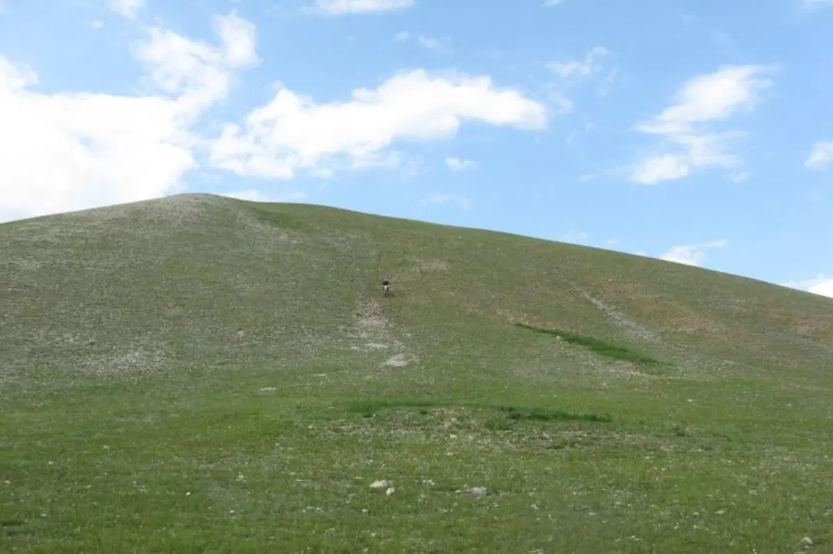 Viaggi in moto. Raid enduro in Mongolia (133)