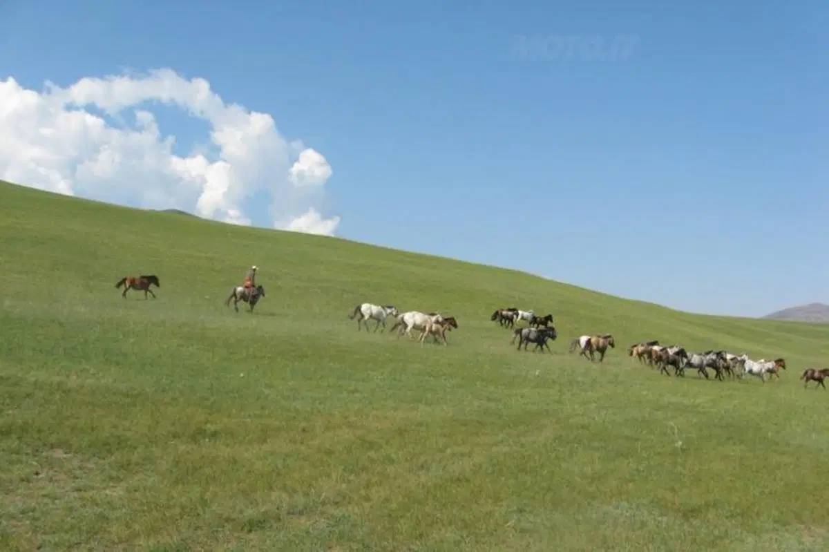 Viaggi in moto. Raid enduro in Mongolia (137)