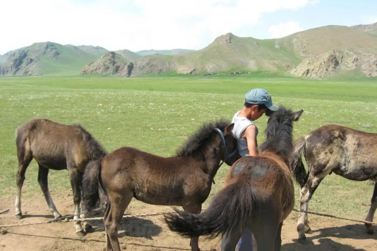 Viaggi in moto. Raid enduro in Mongolia (142)