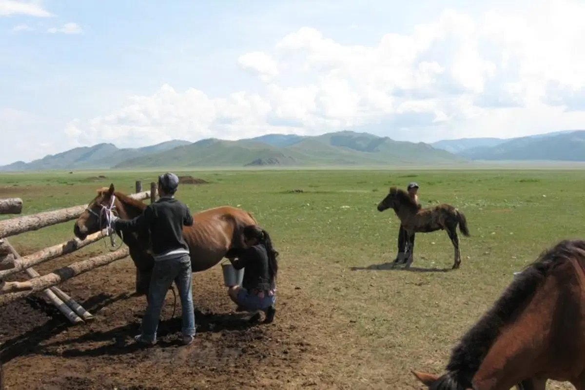 Viaggi in moto. Raid enduro in Mongolia (144)