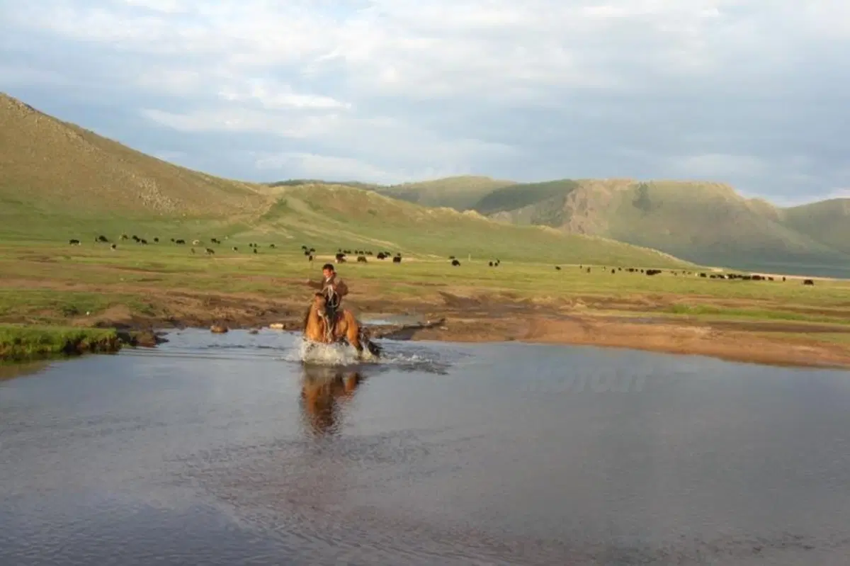 Viaggi in moto. Raid enduro in Mongolia (151)