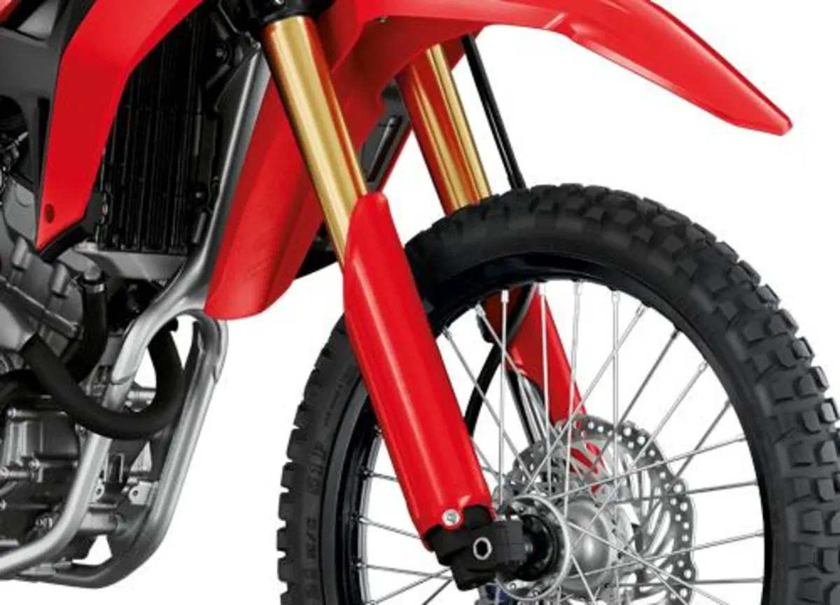 Honda CRF 300 L e Rally 2021: in arrivo una 250 maggiorata? (17)
