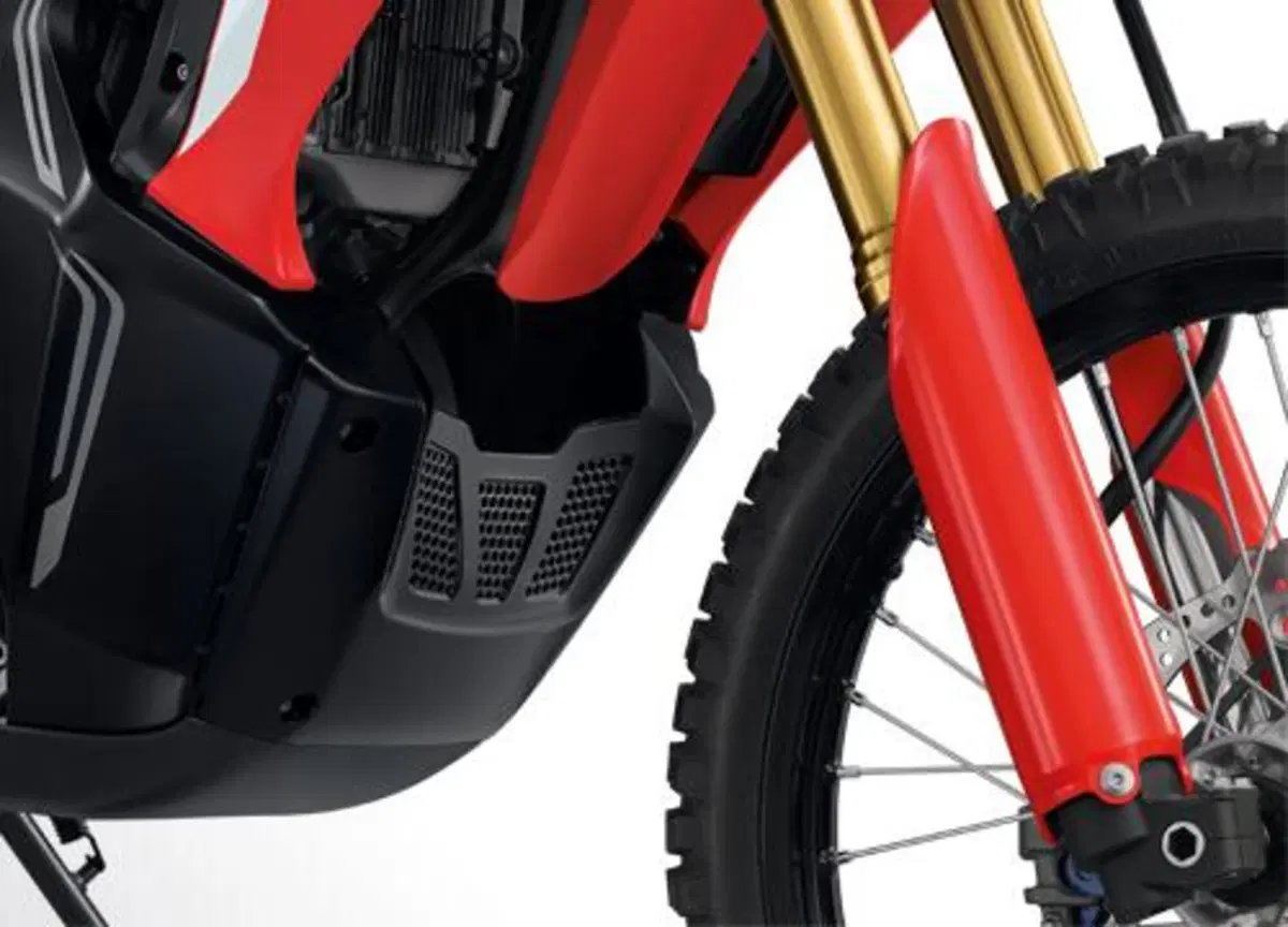 Honda CRF 300 L e Rally 2021: in arrivo una 250 maggiorata? (15)